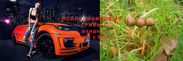 тгк Алексин