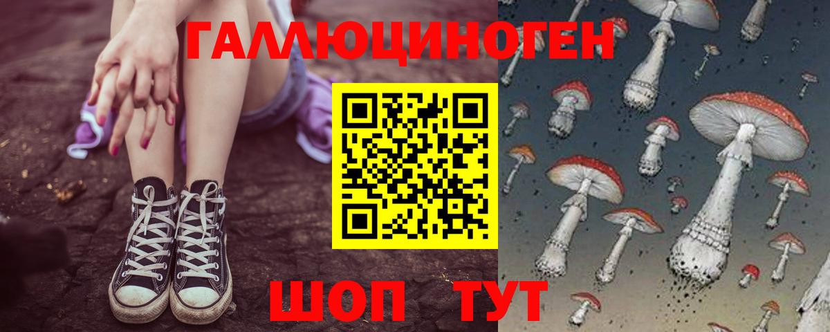 Галлюциногенные грибы Psilocybe  Вход с VPN  Магадан 